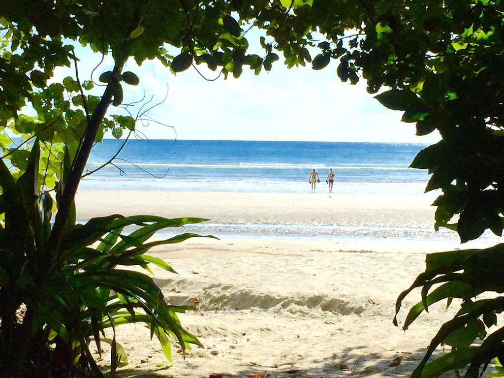 Cape Tribulation Holiday House Εξωτερικό φωτογραφία