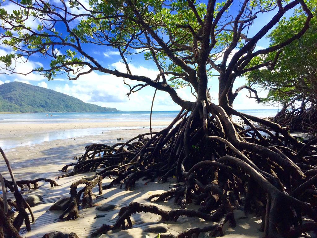 Cape Tribulation Holiday House Εξωτερικό φωτογραφία