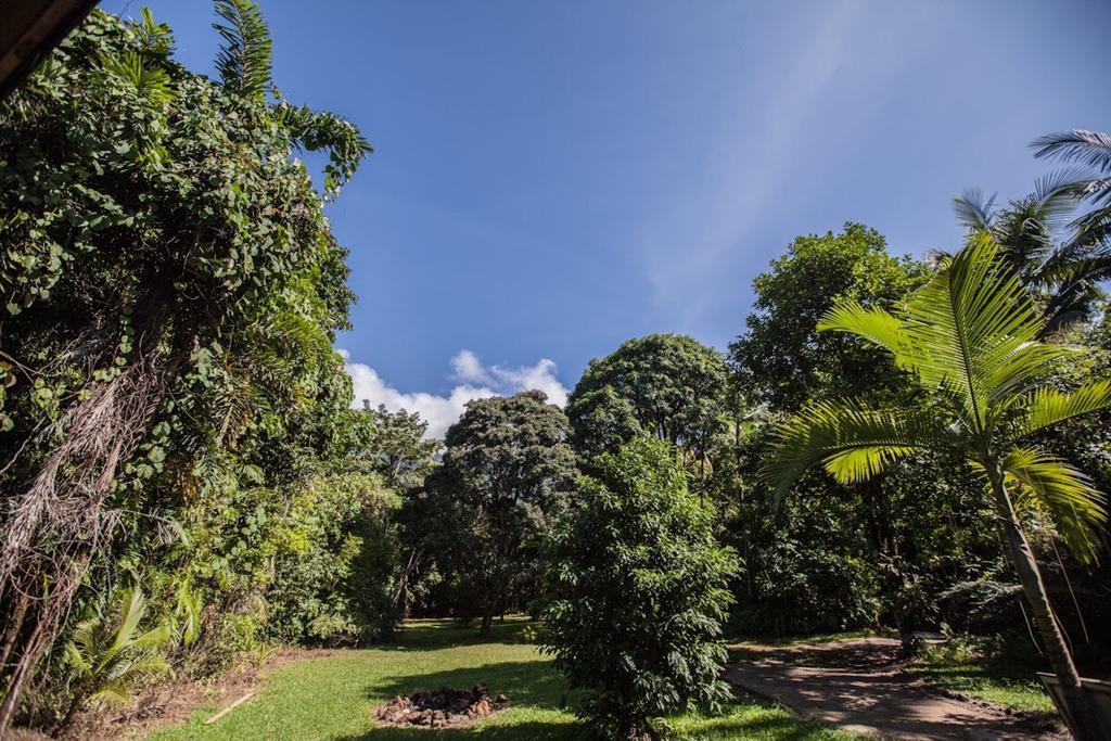 Cape Tribulation Holiday House Εξωτερικό φωτογραφία