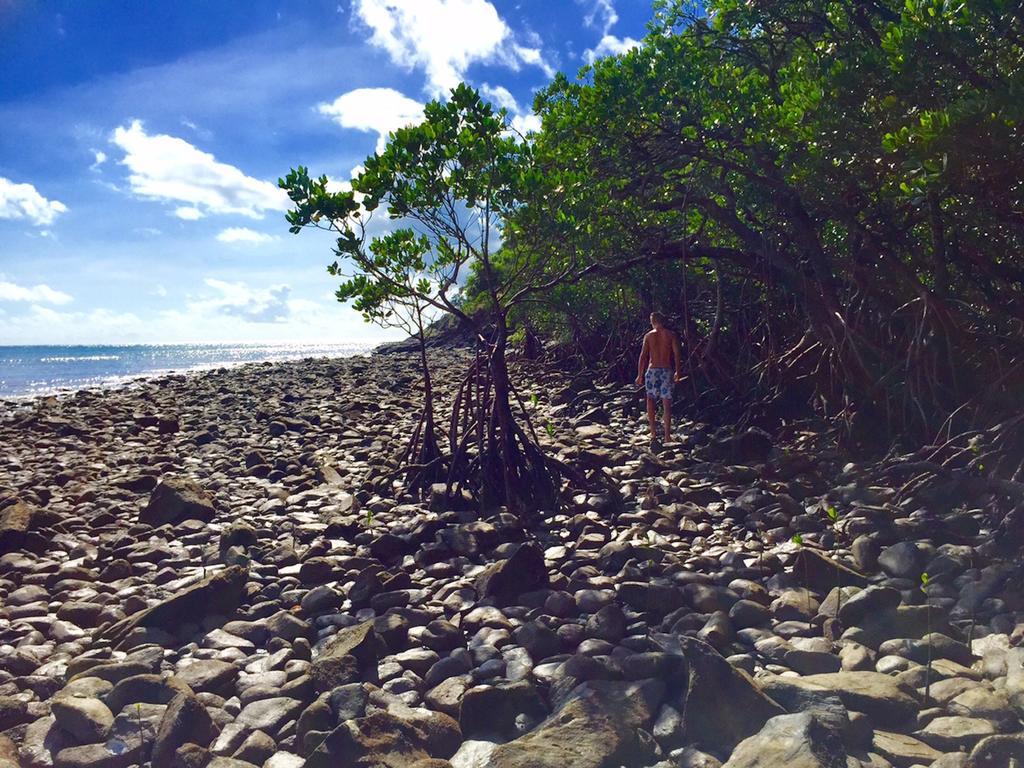 Cape Tribulation Holiday House Εξωτερικό φωτογραφία